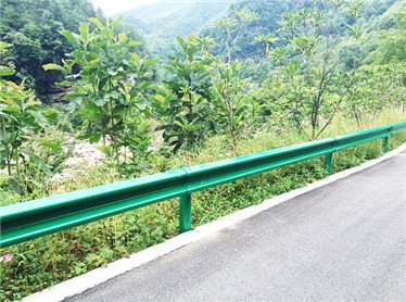公路喷塑91视频播放器污板厂家